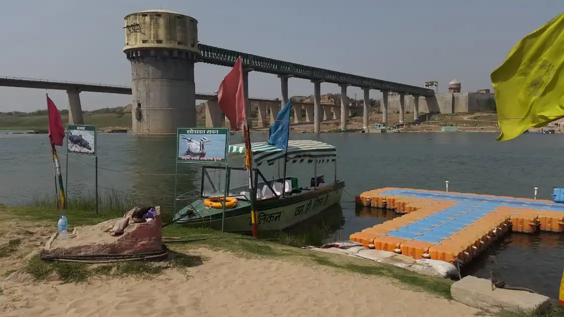Hotels near National Chambal Gharial Sanctuary Palighat Ranthambhore Sawai Madhopur