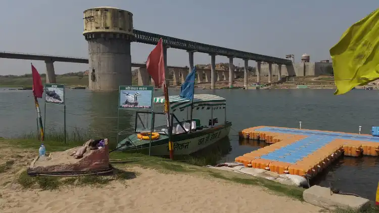 Hotels in der Nähe von नेशनल चंबल घरिअल सैंक्चुरी पलिघट रंथाम्भोरे सवाई माधोपुर