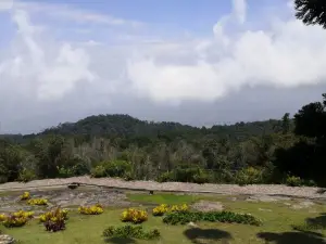 Mount Jerai