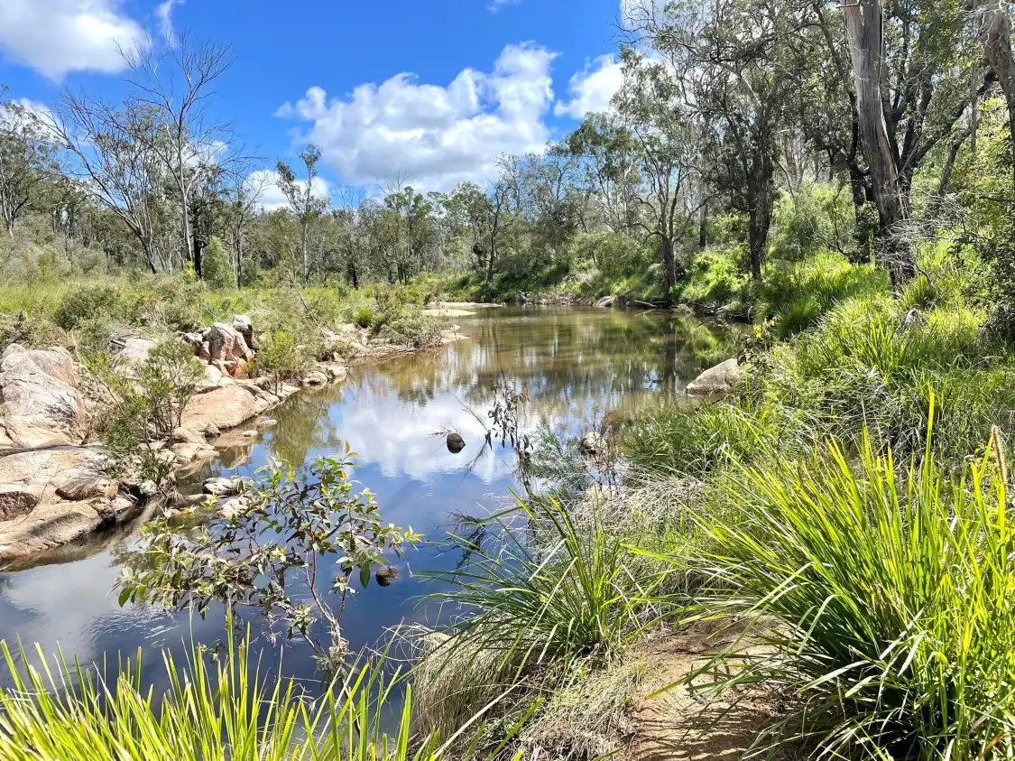 Hotels near Crows Nest National Park