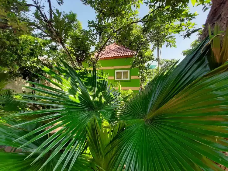 Quynh Luu District 호텔