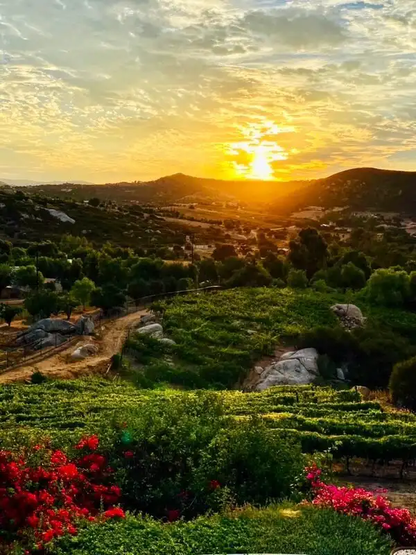 Hotels in Ramona