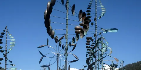 Marcus Ashley Fine Art Gallery