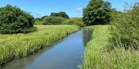 Wildgrounds Nature Reserve