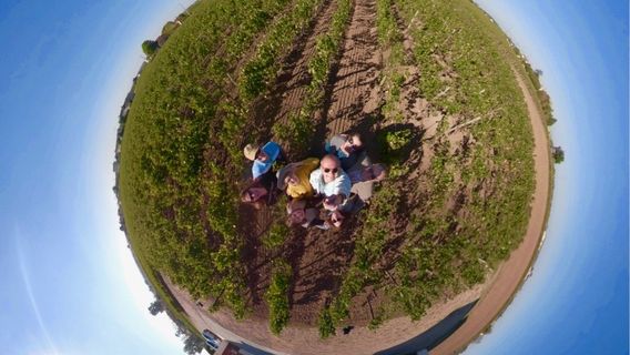 Chateau Petit-Village