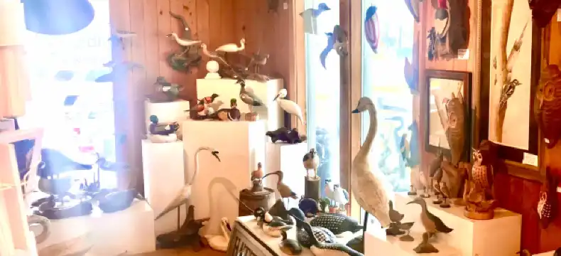 Hotels in Kill Devil Hills