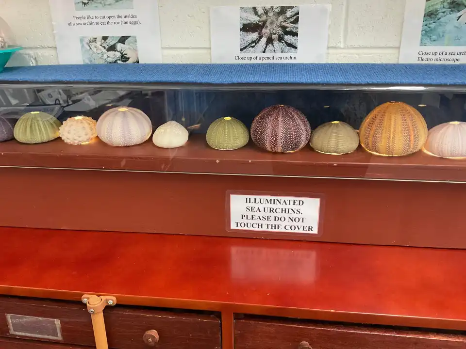 5_Shell World
