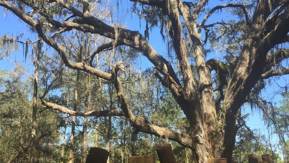 Plant City