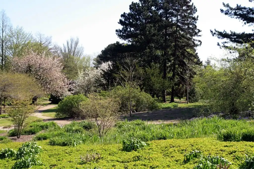 Hotels near Cultural-botanical Garden