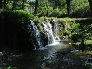 Terme Lucane