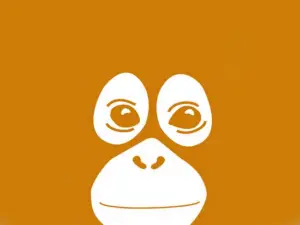 Bukit Lawang Ecotourism