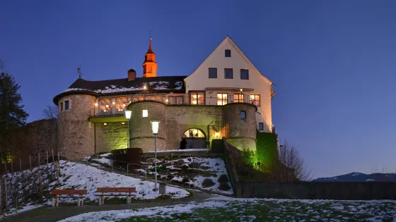 Burgruine Hohen Bregenz, Gebhardsberg