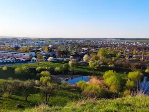 Shvedskaya Gora