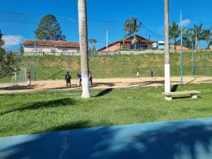 Shark Park