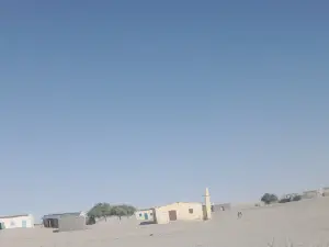 Salal سلال