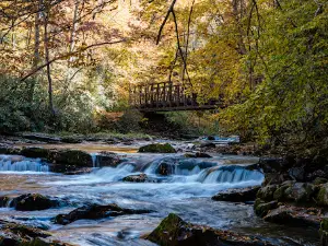 Virginia Creeper Trail