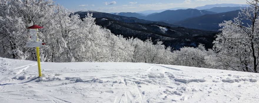 Okrąglik 1101 m n.p.m.