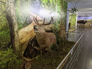 Музей природы