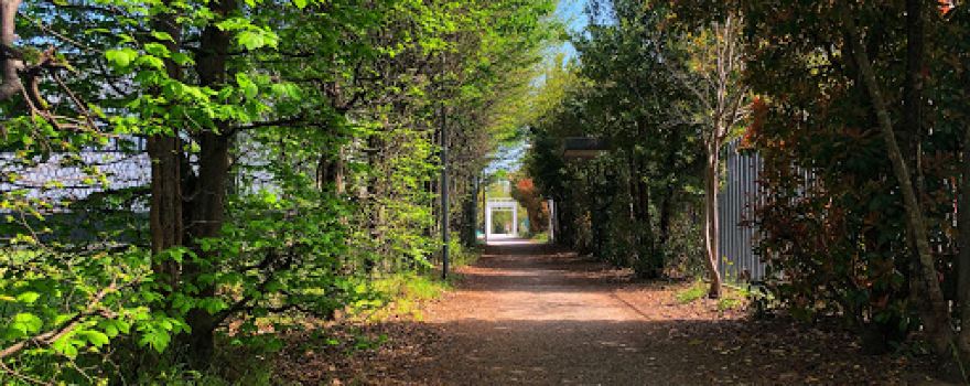 Parco Morello