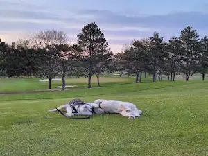 Lakeside Country Club
