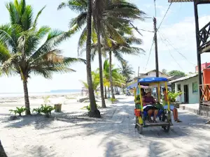 Playa De La Isla De Muisne