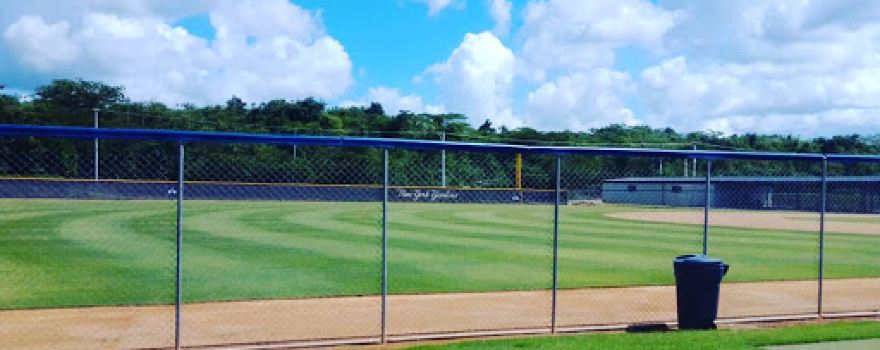 New York Yankees