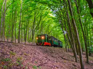 Nagybörzsöny Forest Railway