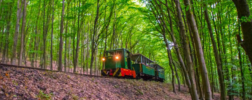 Nagybörzsöny Forest Railway