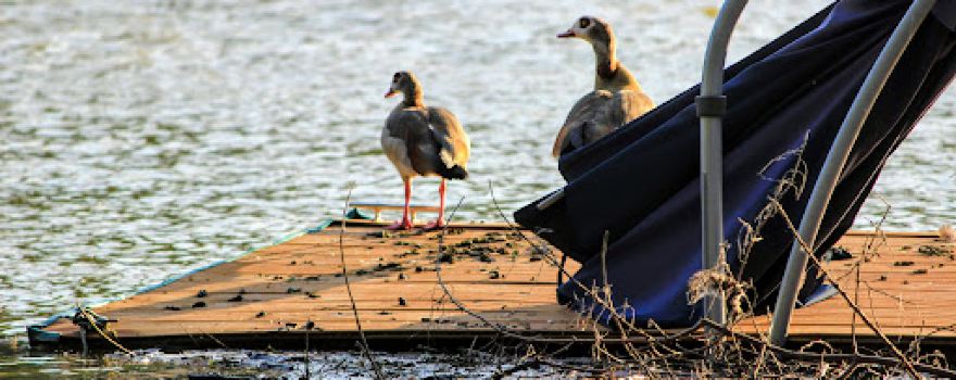 Campingplatz Bleiau