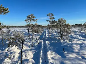 Kakerdaja raba matkarada