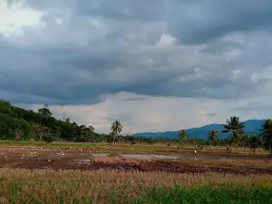 Batang Angkola