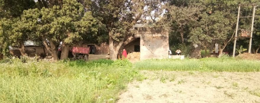 Shukla farms