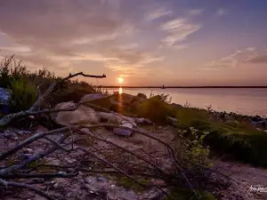 코니미컷 포인트 공원
