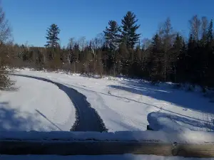 Grayling State Forest Area