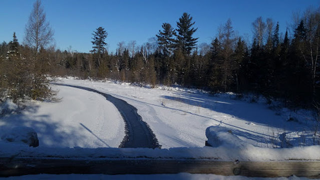 Grayling State Forest Area