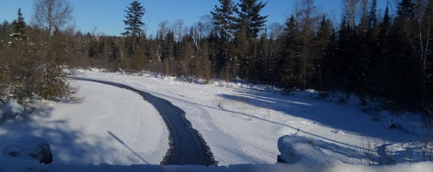 Grayling State Forest Area