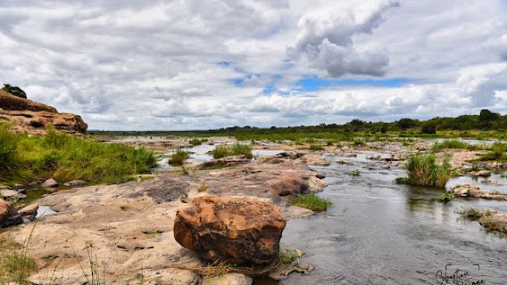 Hippo pools