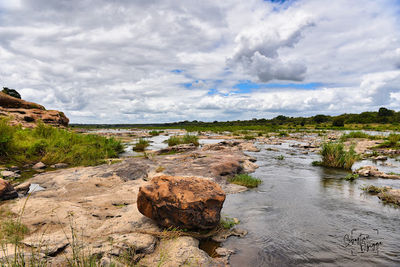 Hippo pools