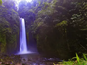 Air Terjun Dukun Batuah