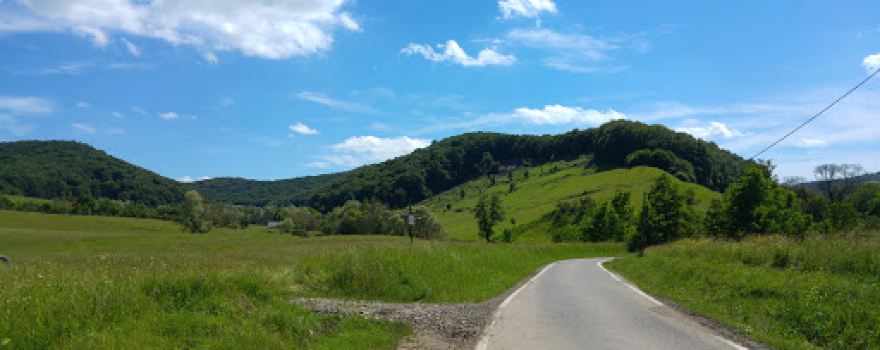 Véckei székely kapu
