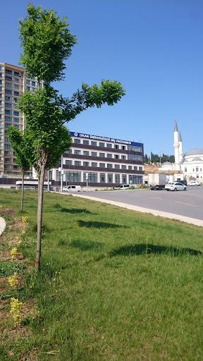 Basketbol Sahası, Çocuk Oyun Alanı ve Park - Trip.com Çevre Seçenekleri