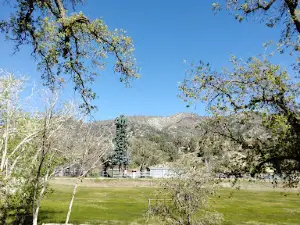 Frazier Mountain Park