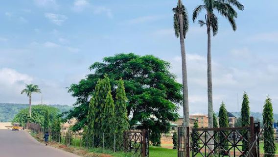 Ngwo Park
