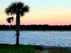 Lake Wallace