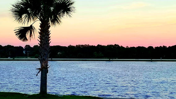 Lake Wallace