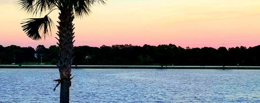 Lake Wallace
