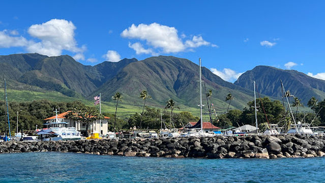 Maui Adventure Cruises