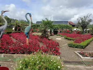 Kebun Begonia