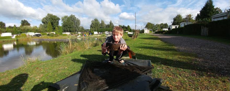 Camping Kuikhorne