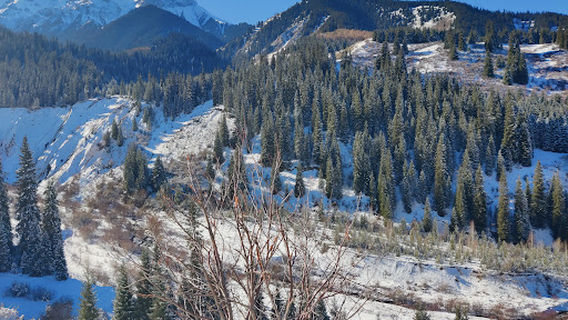 オゼロ・カインディ